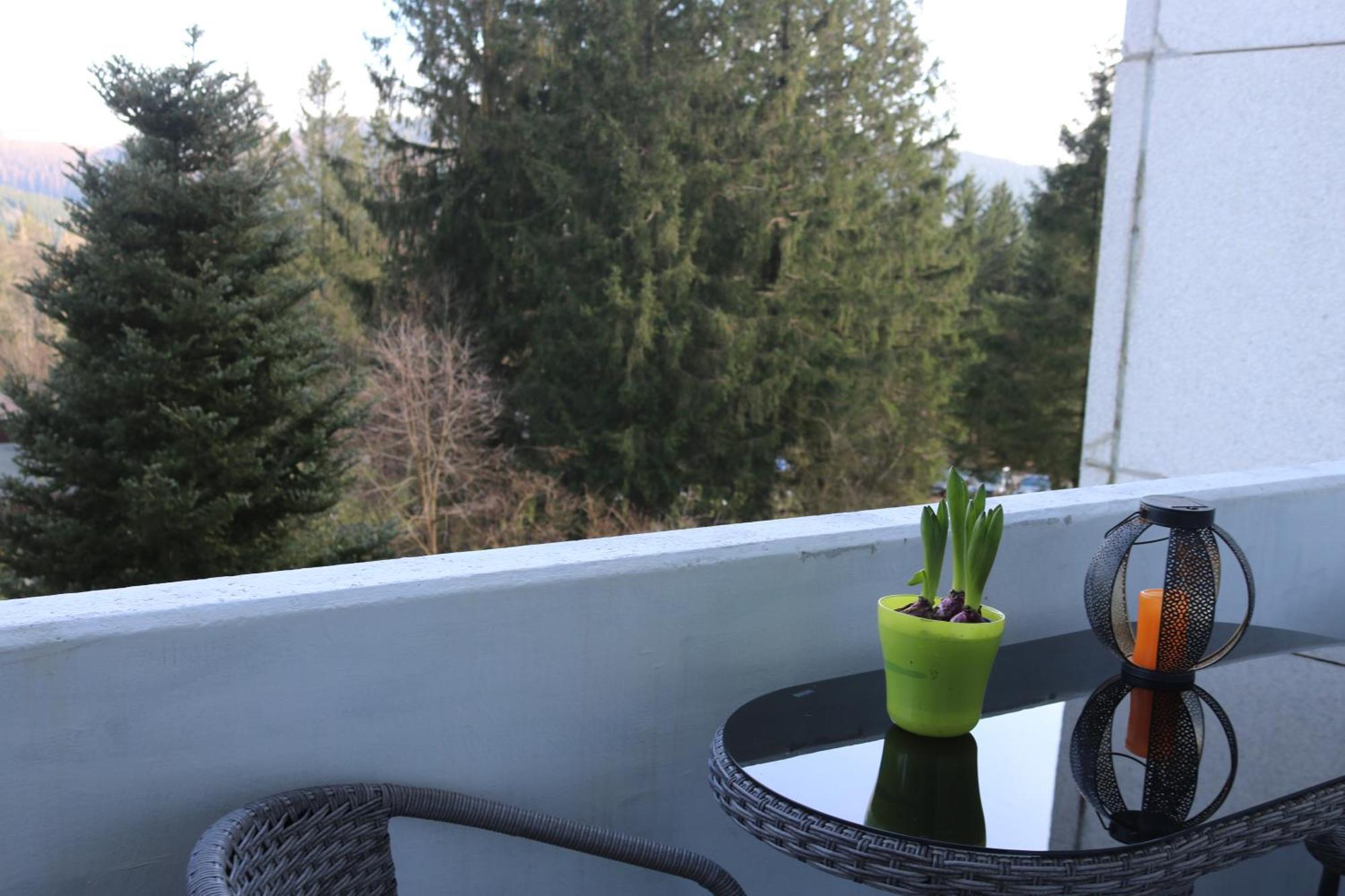 Natur Suite Goslar Exteriör bild