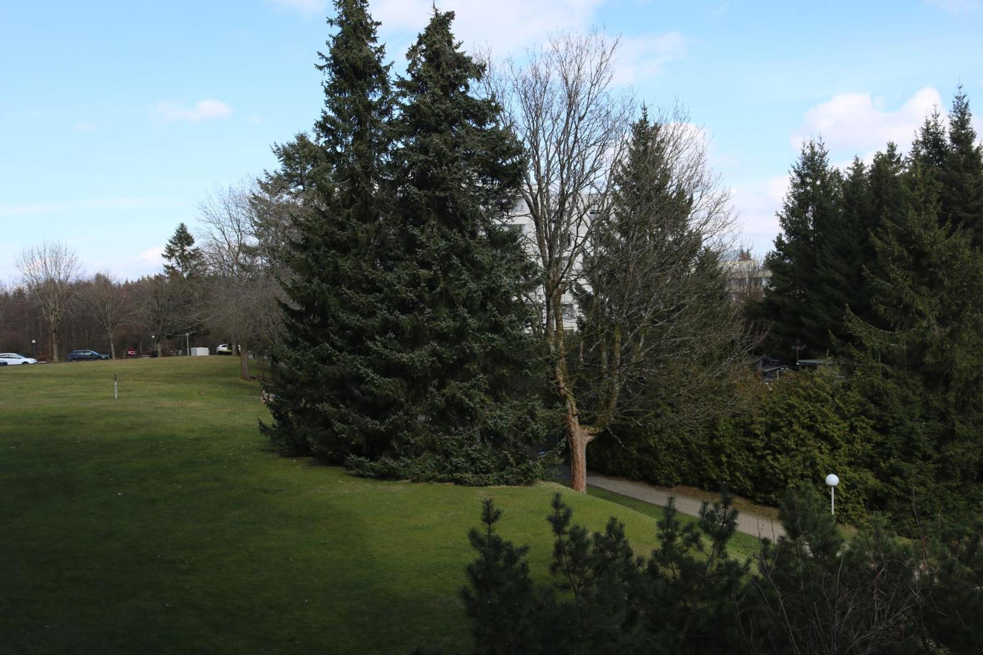 Natur Suite Goslar Exteriör bild